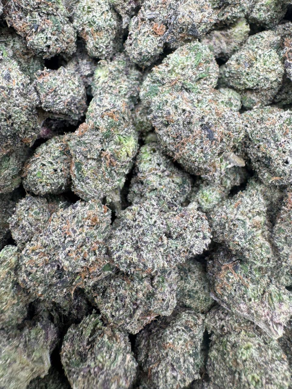 Platinum Cherriez | Indoors