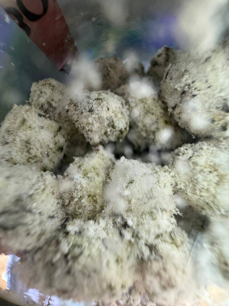 New Bounty Box Snow Caps | Snow Cap