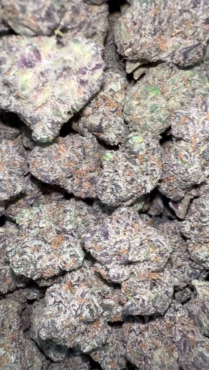 Blue Nerds | Indoors