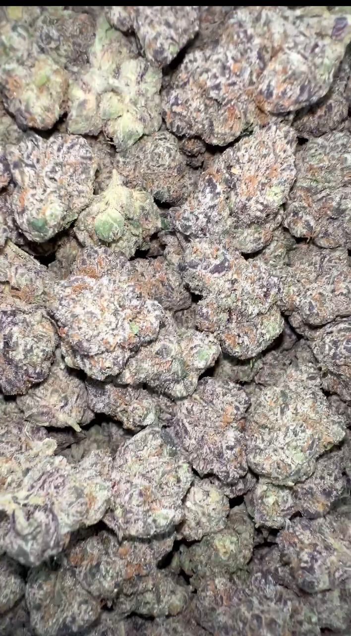 Berry Blast | Exotics Indoors