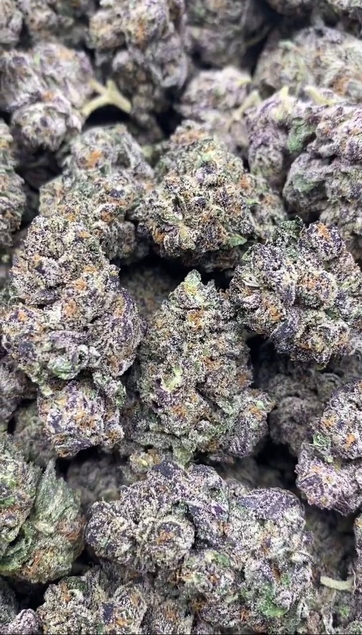 Key Lime Pie | Lows - 2