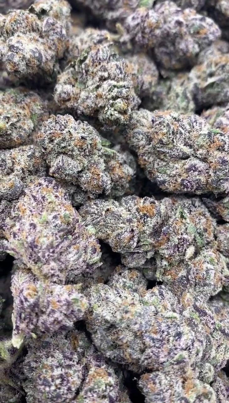 Promethzine | Indoors - 2