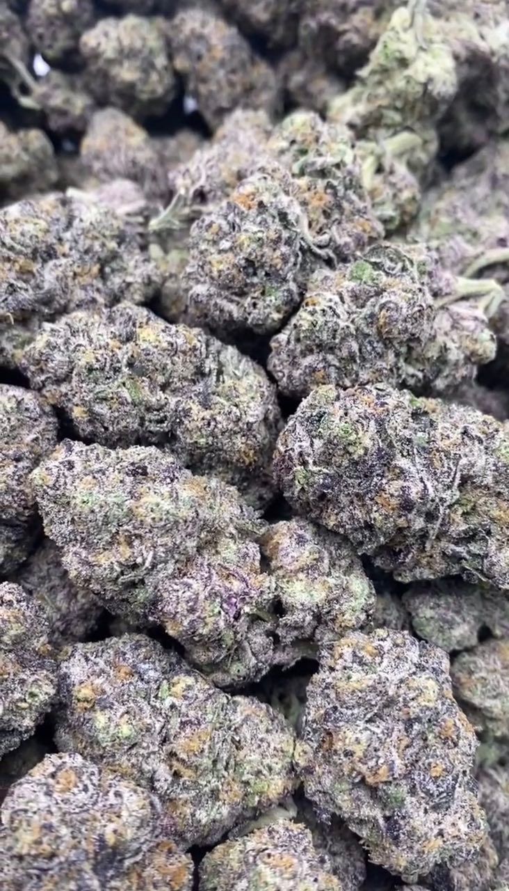 Gusher Gelato | Lows - 2