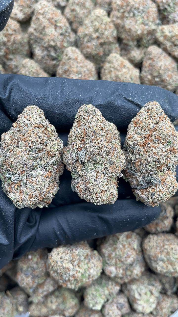 Larry Bird | Indoors