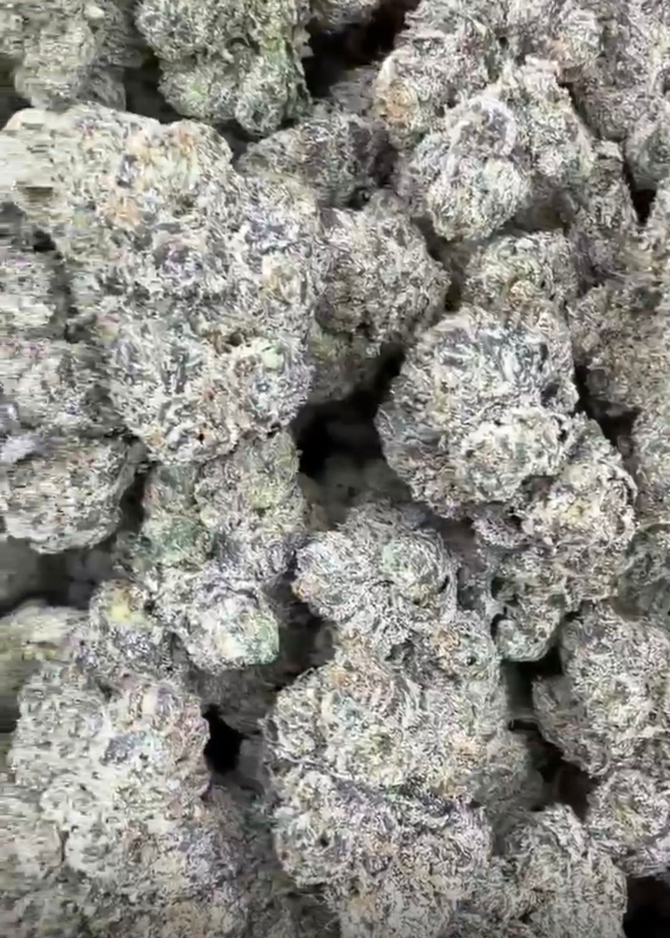 Rainbow Cherry | Lows - 2