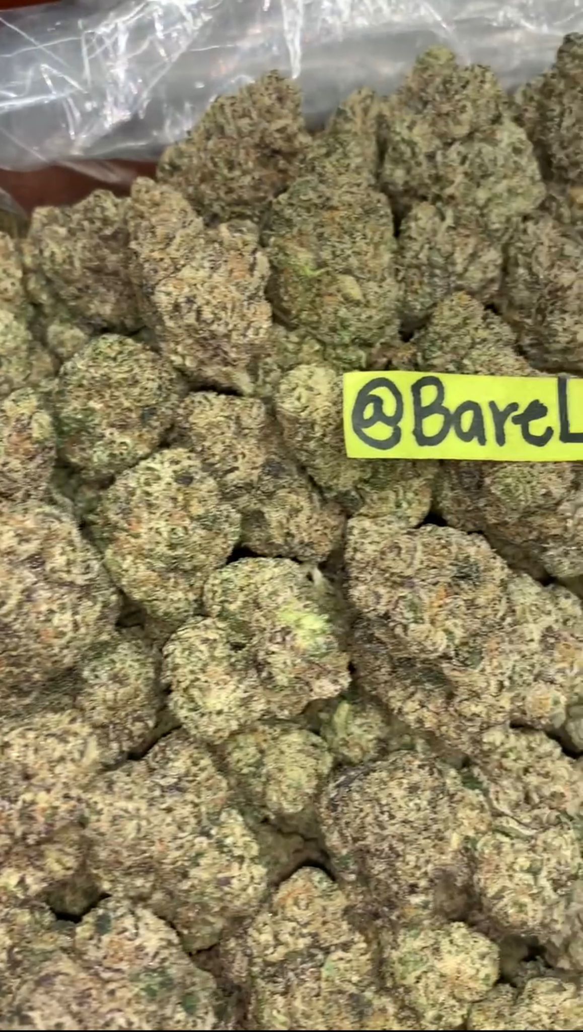 Uncle Snoop | Exotics Indoors - 2