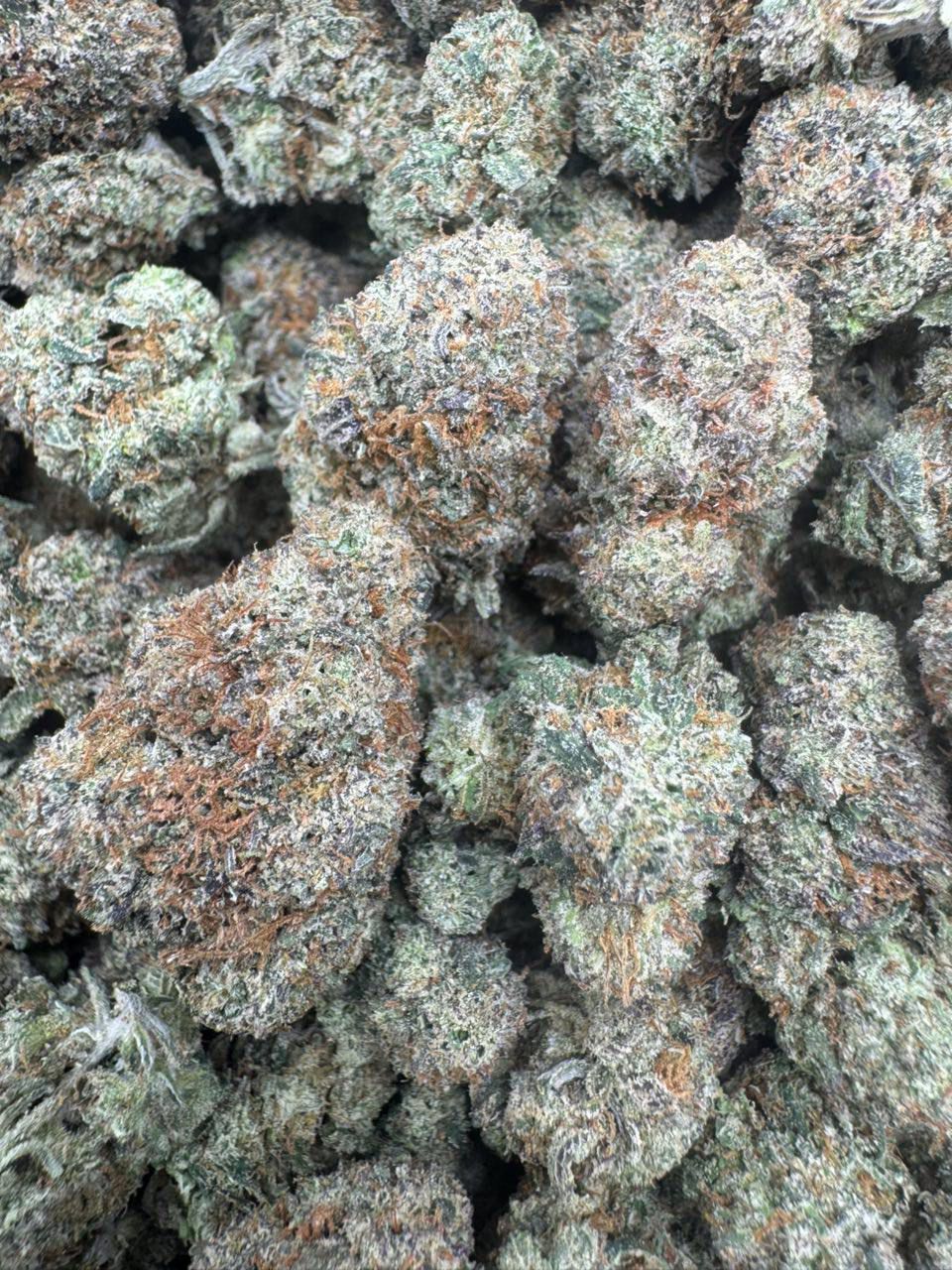 Truffle Candy Runtz | Indoors