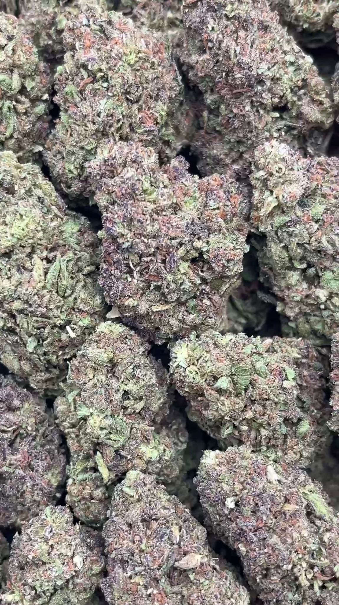 Sour Skittlez | Zaa - 2