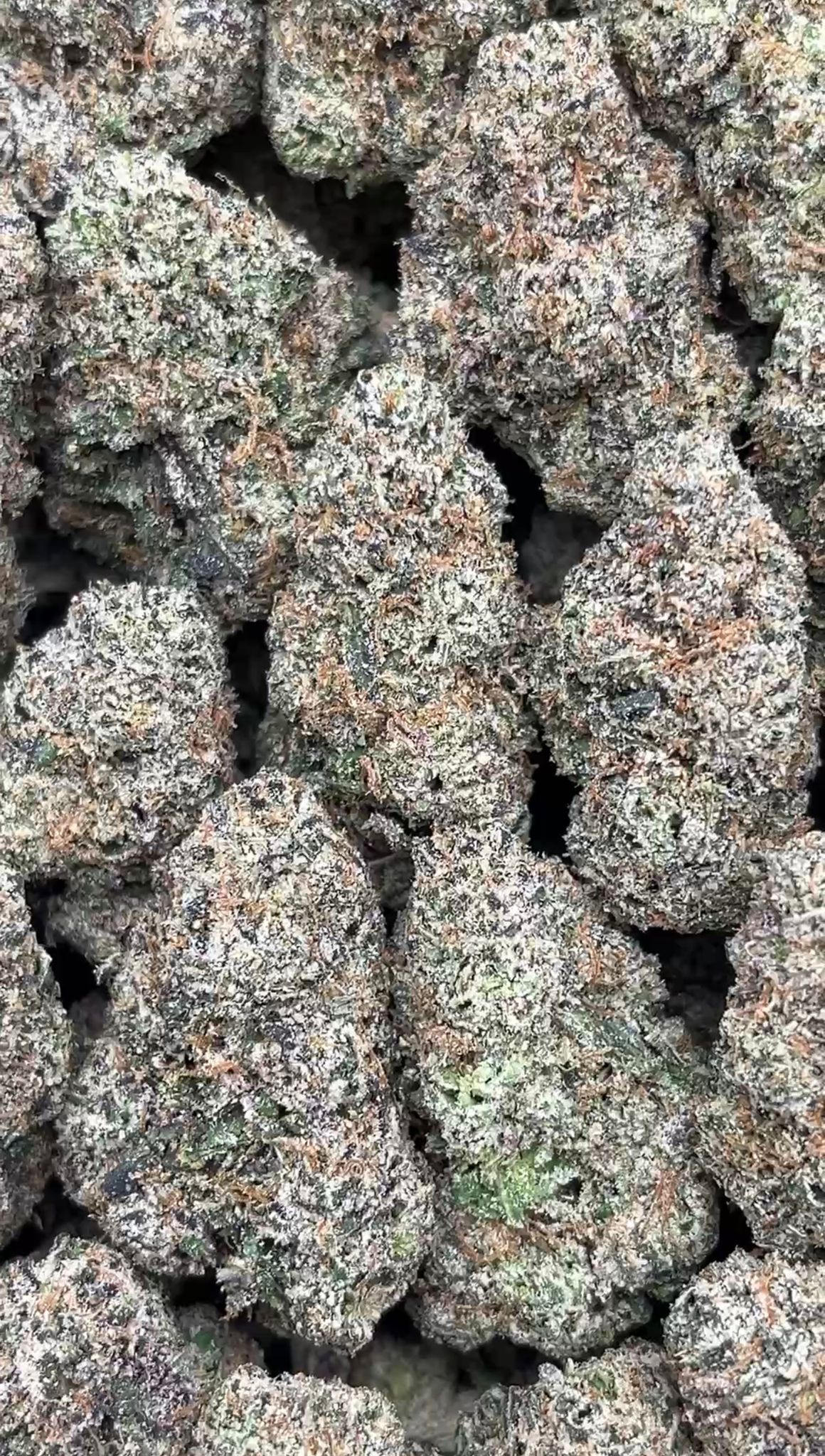 Wedding Cake | Zaa - 2