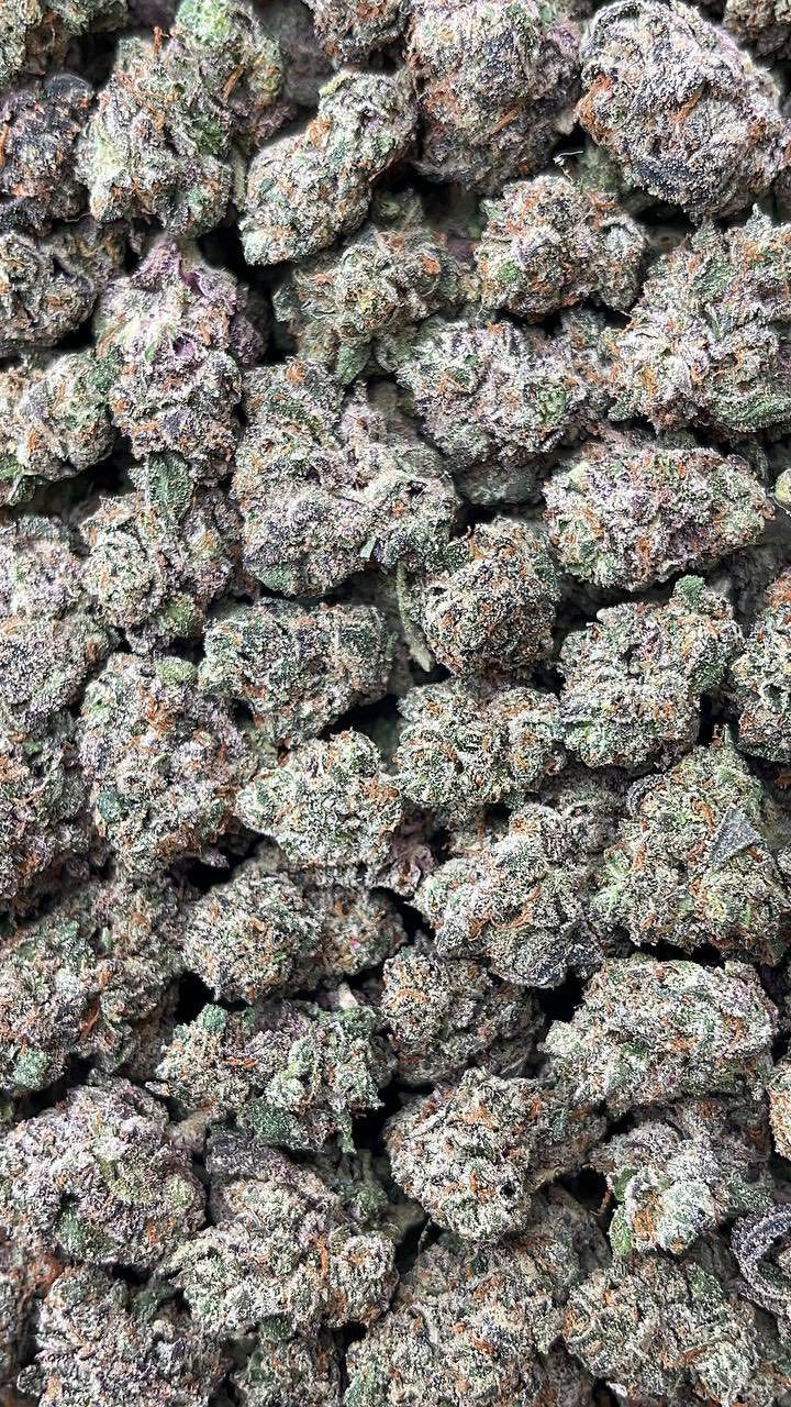 Monster LCG | Lows - 2