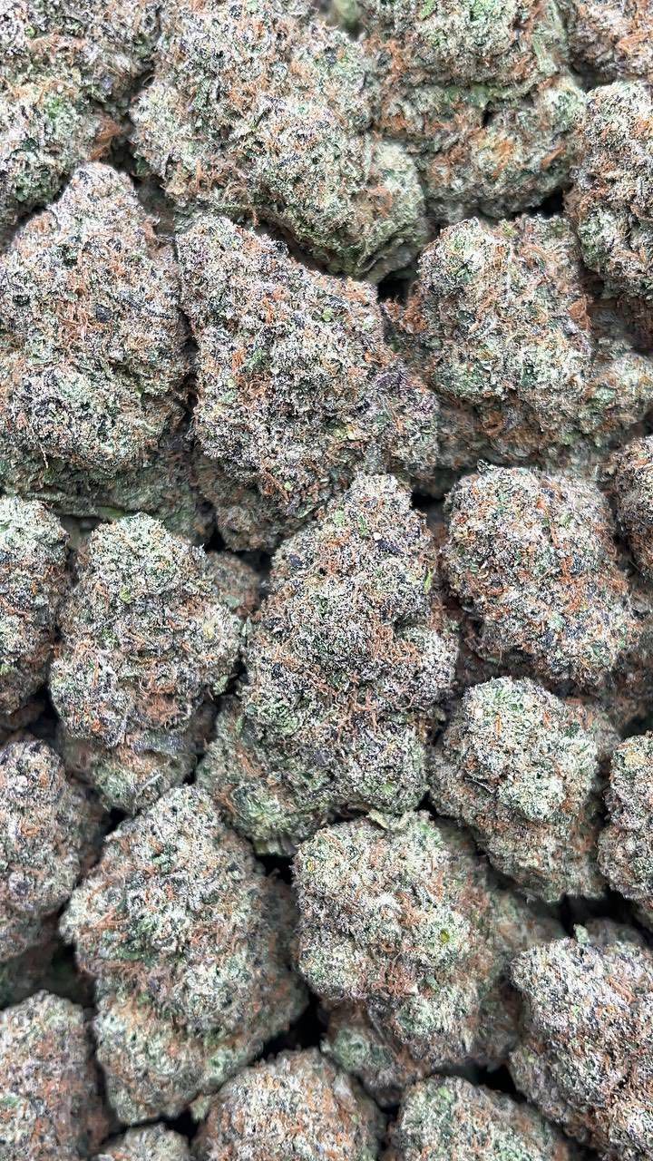 Cherry Poppers | Lows - 2