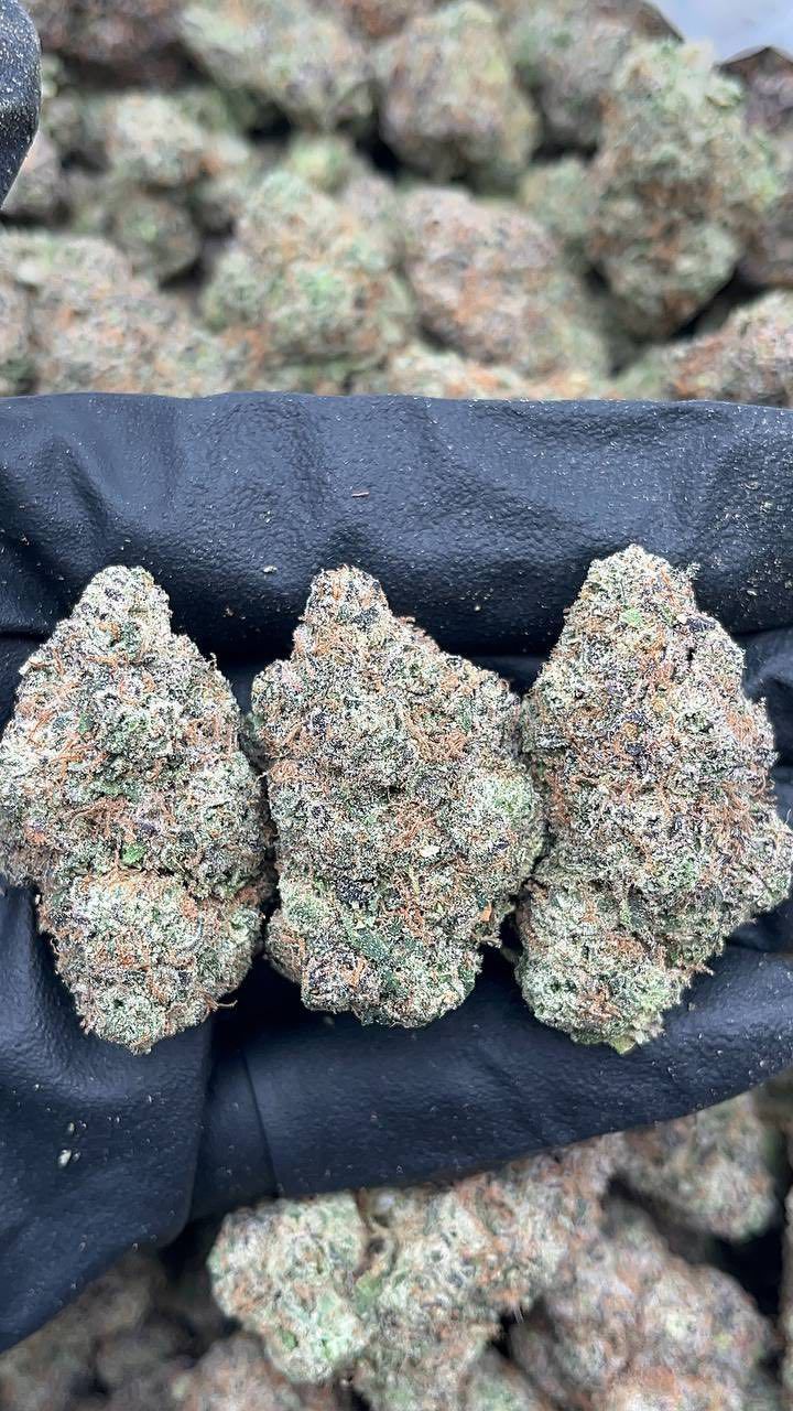 Cherry Poppers | Lows