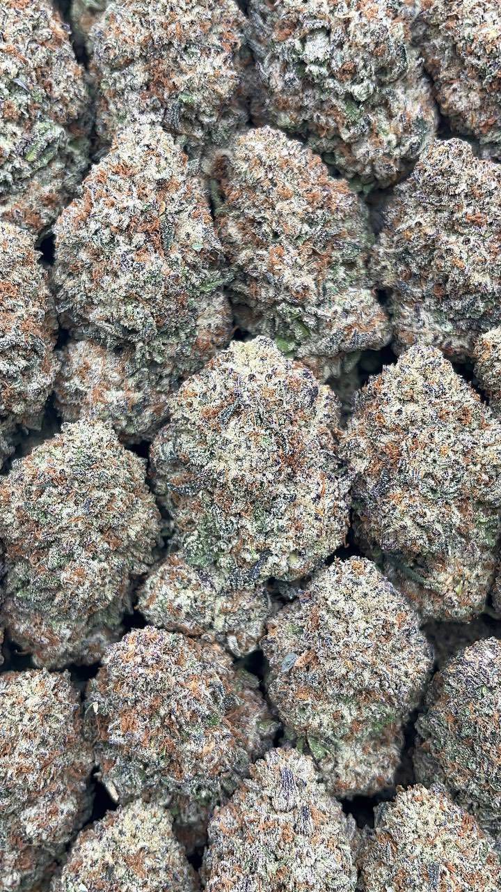 Gumbo Cherries | Lows - 2