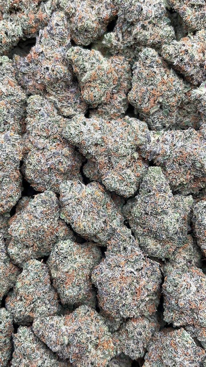 Candy Ethos | Lows - 2