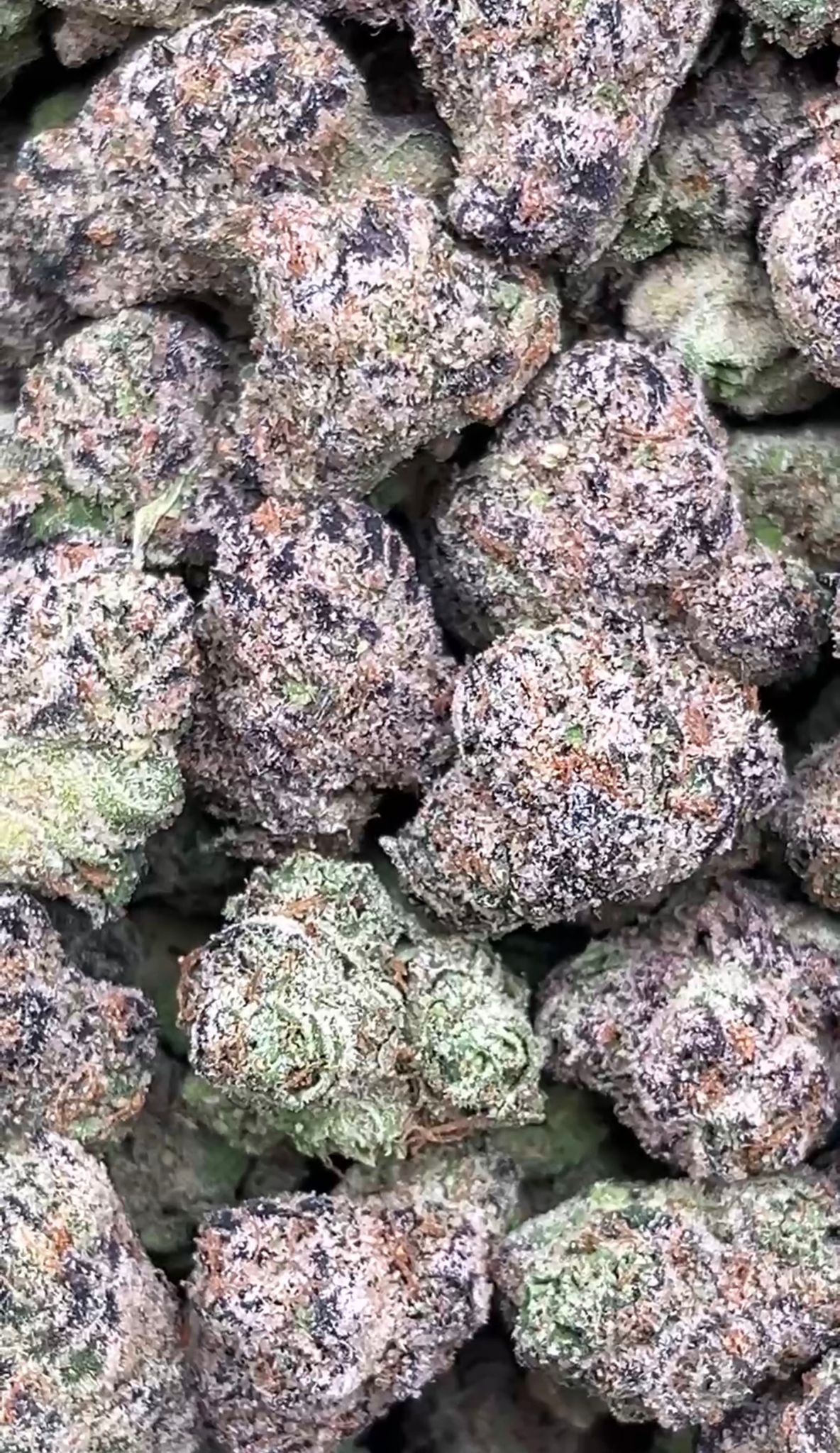 Super Boof | Lows - 2