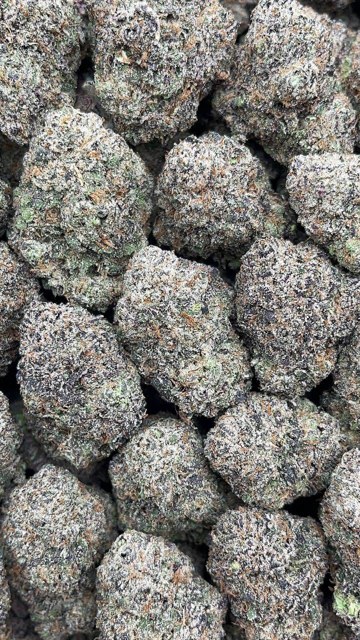 Pineapple Express | Exotics Indoors - 2