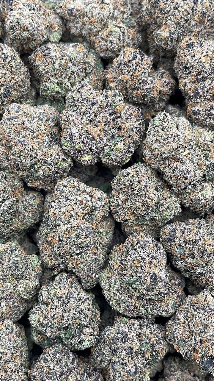 Granddaddy Purple | Exotics Indoors - 2