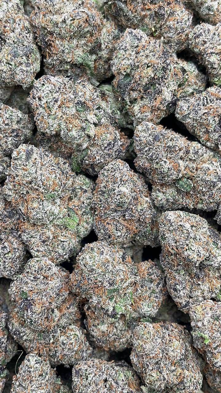 Sour Diesel | Indoors - 2