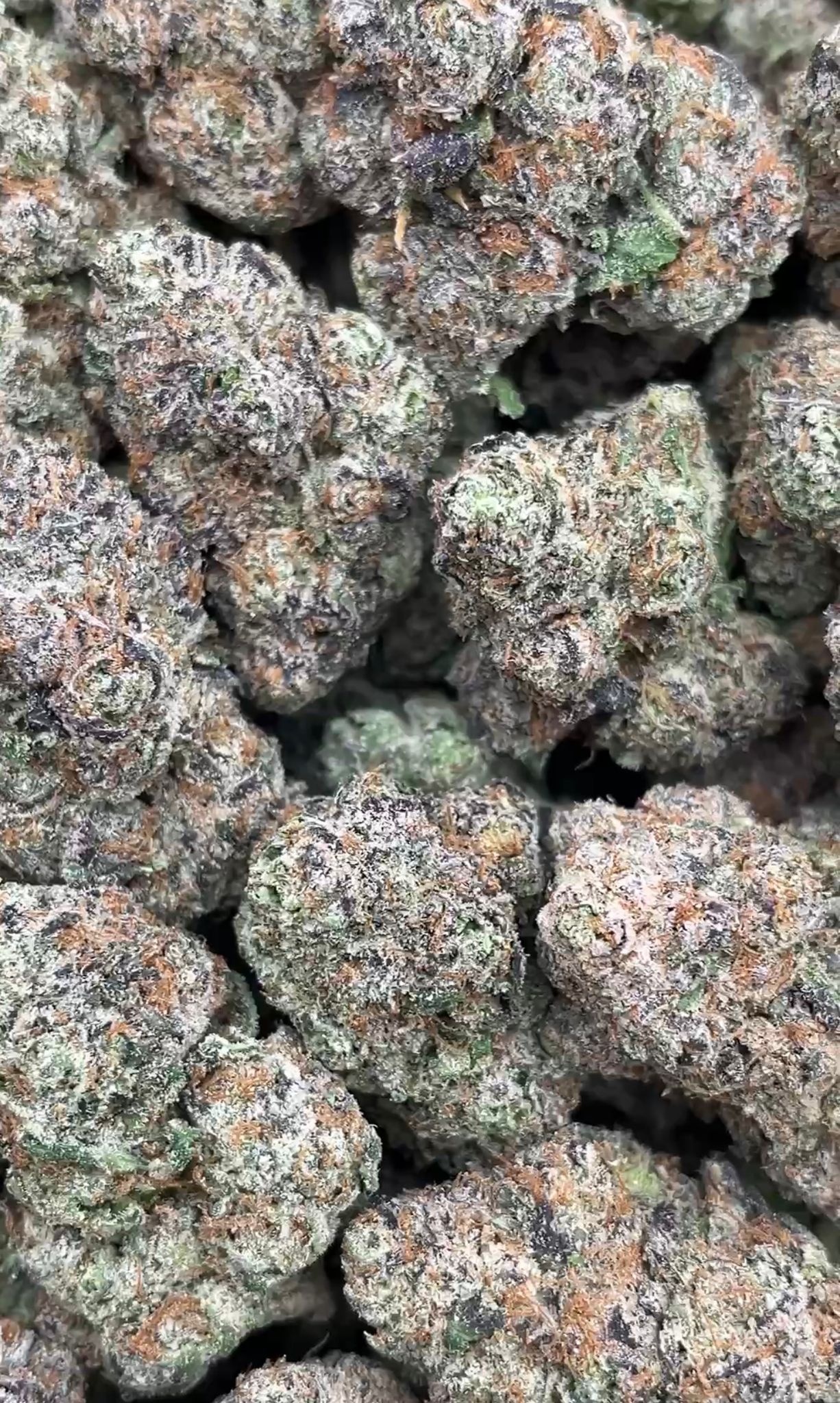 Ice Cream Cake | Lows