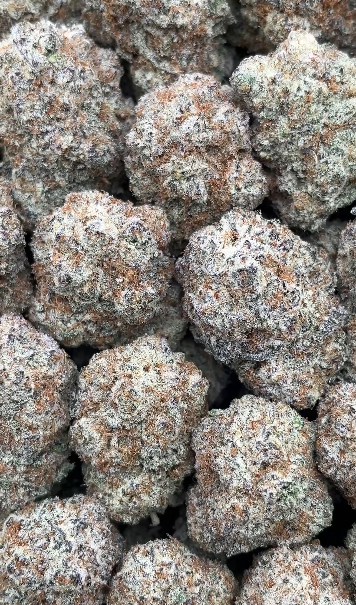 Permanent Marker | Lows - 2