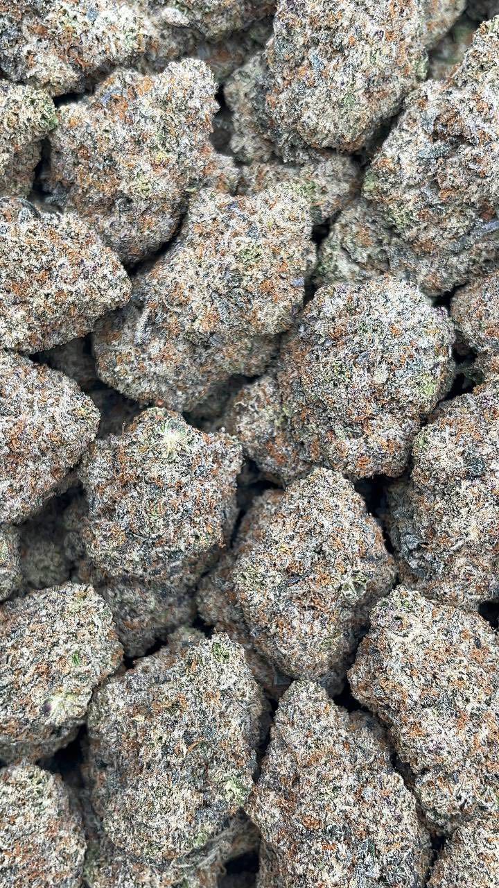 Blue Dream | Exotics Indoors - 2