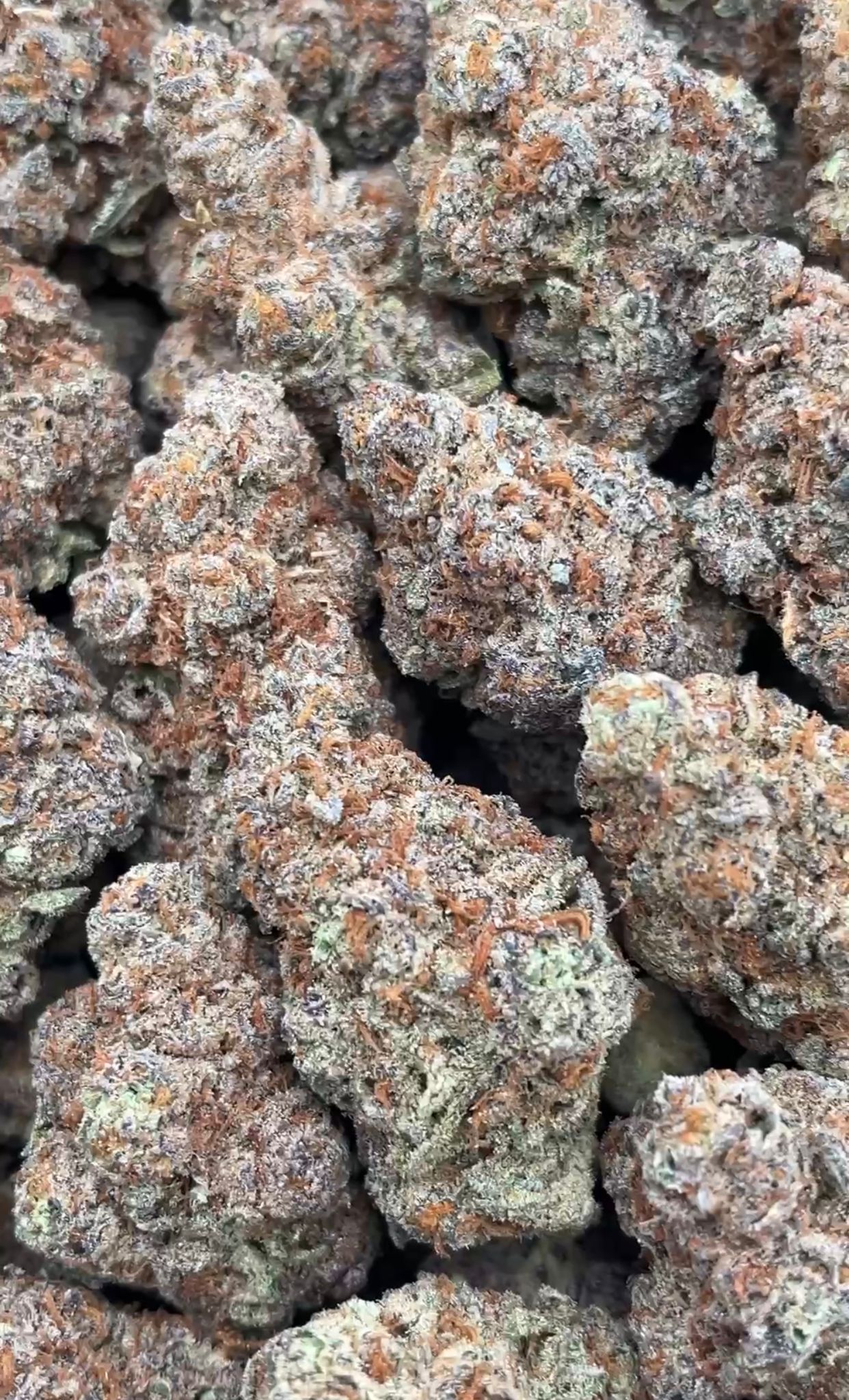 Wedding Cake | Indoors - 2